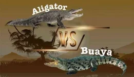 aligatorbuaya2.webp