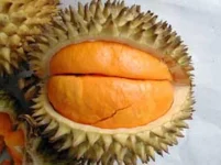 802453_720.webp 802453_720.webp