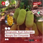 Screenshot 2020-05-10 at 13.11.15.webp Screenshot 2020-05-10 at 13.11.15.webp