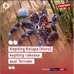 Screenshot 2020-05-10 at 13.12.54.webp