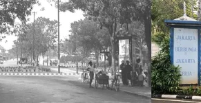 IMG_0648.jpg IMG_0648.jpg