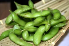 Edamame_by_Zesmerelda_in_Chicago.webp