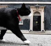 Palmerston no. 10.jpg