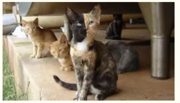 venus1.JPG venus1.JPG