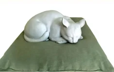 kucing monet1.JPG kucing monet1.JPG