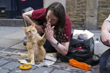 a-street-cat-named-bob-high-five.jpg a-street-cat-named-bob-high-five.jpg