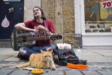 James_Bowen_and_Bob_the_Street_Cat_busking_in_Covent_Garden_after_the_publication_of_their_new...jpg