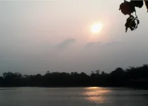 1715418006577.webp 1715418006577.webp