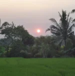 1715418075458.webp 1715418075458.webp