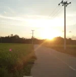 1715418132292.webp 1715418132292.webp