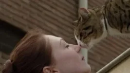 0bbc0c52001737593342571ef23a03de.jpg 0bbc0c52001737593342571ef23a03de.jpg