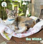 ibu Wilma.JPG