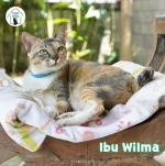 ibu Wilma.JPG ibu Wilma.JPG