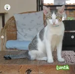 Luntik.JPG Luntik.JPG