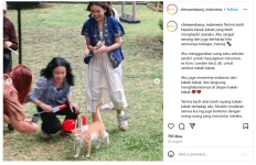 Jeruk.webp Jeruk.webp