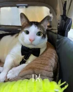 1000422546.jpg 1000422546.jpg