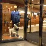 1734786657656.webp 1734786657656.webp