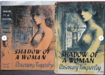a shadow of a woman.JPG