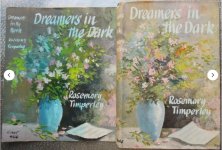 dreamers in the dark.JPG