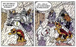 anjing2.JPG