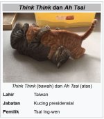 think tsai.JPG