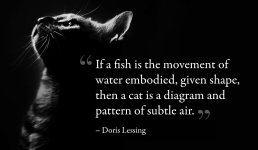 cat-doris-lessing-1.jpg