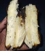 ketela2.jpg