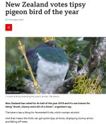 NZpigeons.JPG