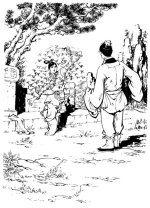 chapter_roch006.jpg