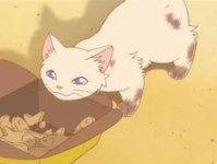 yuki2.JPG