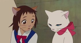 yuki.jpg