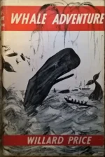 wprice3.JPG wprice3.JPG