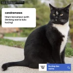 GiRe1ohaUAEXxQx.webp