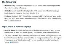 feline trio.webp