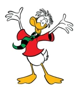 KildareCoot.webp KildareCoot.webp