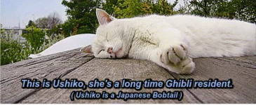ushiko.webp