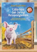 527423.webp